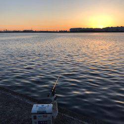 エビ撒き 再開‼︎