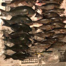 外房でイサキ船！大爆釣～！！三喜丸！！