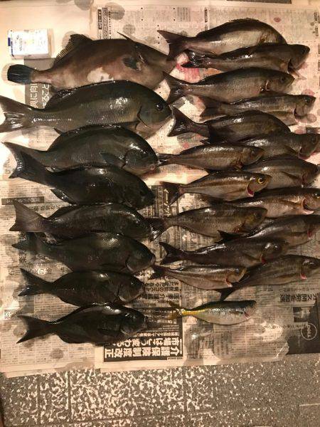 外房でイサキ船！大爆釣～！！三喜丸！！