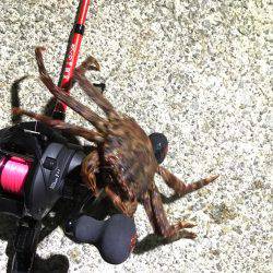 強風の為穴釣り