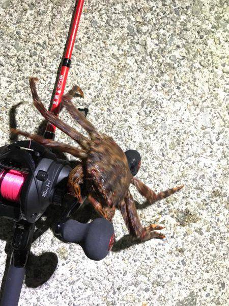 強風の為穴釣り