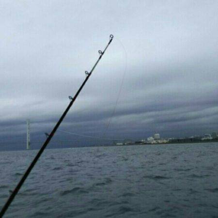 船タコ タコテンヤ