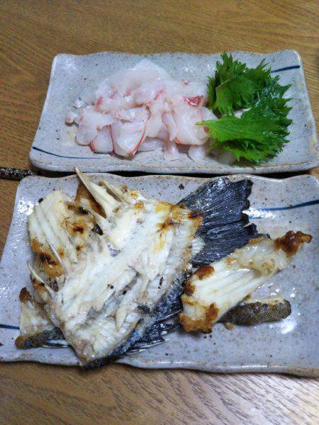 6月の海上釣堀オーパ!!