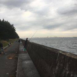 福浦岸壁でカサゴ！