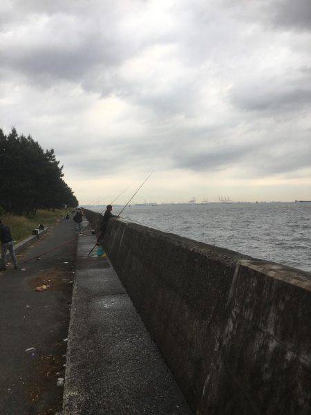 福浦岸壁でカサゴ！