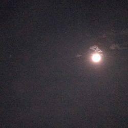 満月の強風の夜にメバリング