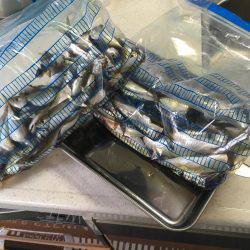 ファミリーフィッシング