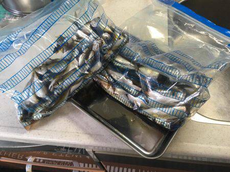 ファミリーフィッシング