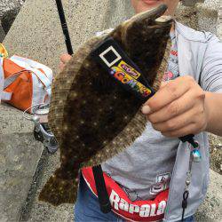 楽しい和歌山釣行