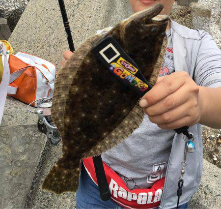 楽しい和歌山釣行