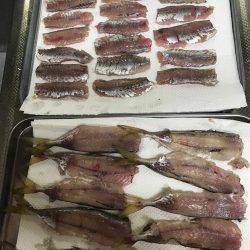 アジングしました！