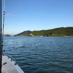 イカメタル調査＆キス調査