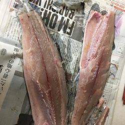 ブリどこ？サゴシパラパラ