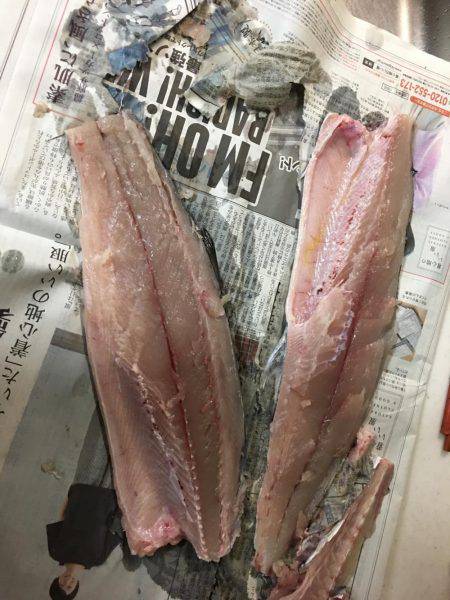 ブリどこ？サゴシパラパラ