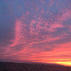 太刀魚狙いのはずが