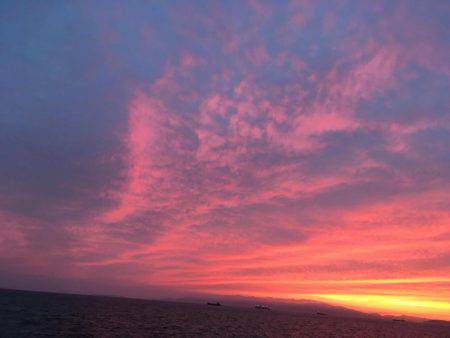 太刀魚狙いのはずが