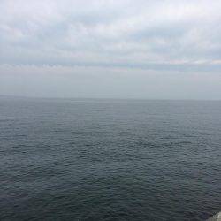 人混みを避けて