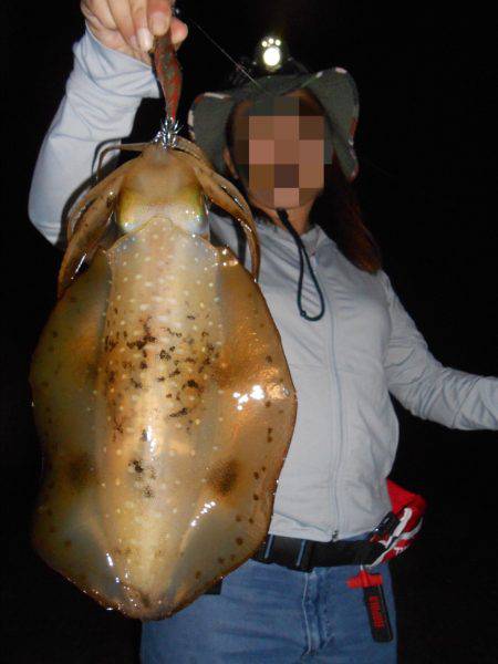 SST(泉南ソルトウォータートーナメント)