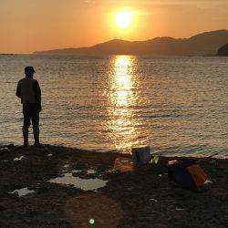 ラスト春イカ❗️