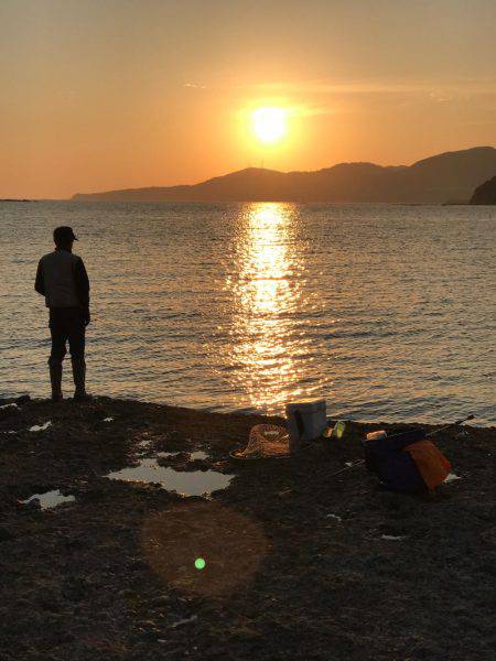 ラスト春イカ❗️