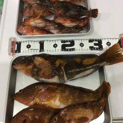 城崎近辺でカヤックフィッシング