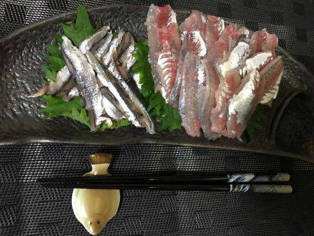 アジ、イワシ、マイクロスター！