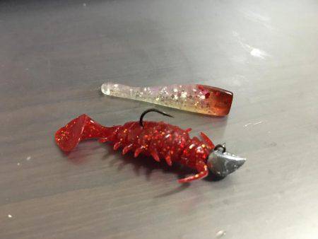 雨上がりのキビレ