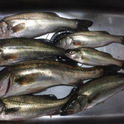 エリア10最強！