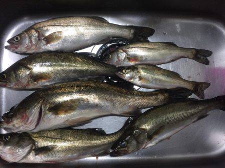 エリア10最強！