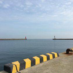 アジをソコソコ