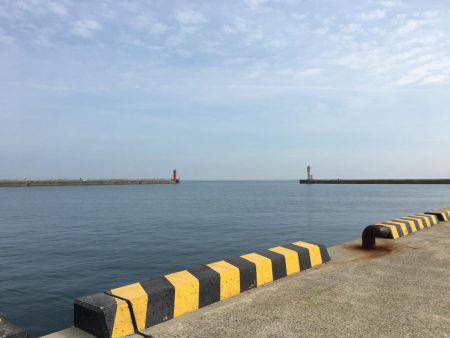 アジをソコソコ