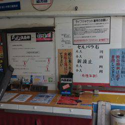 タコ一匹でした