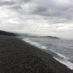 大里松原海岸 シオ2匹