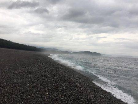 大里松原海岸 シオ2匹