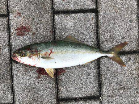 続ツバスゲーム