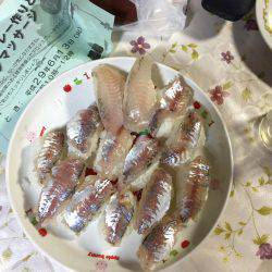 アジングでキロアップイカ