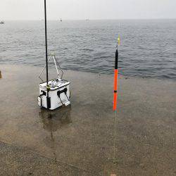 城ヶ島でダンゴ釣り！メジナ釣りたい！