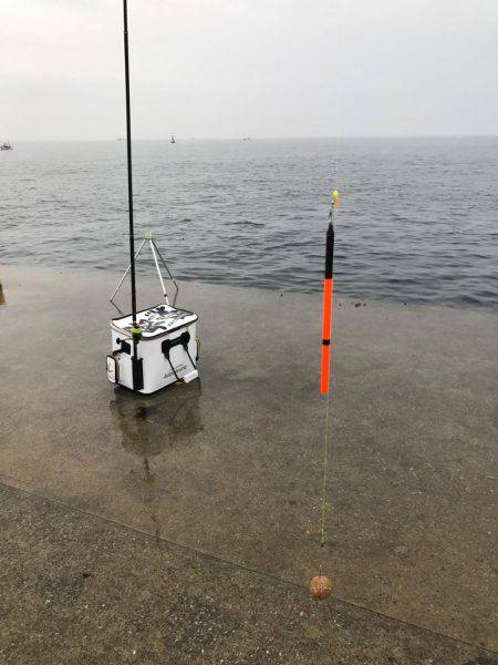 城ヶ島でダンゴ釣り！メジナ釣りたい！