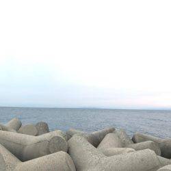 富山県魚津港 フカセ夜釣りグレ