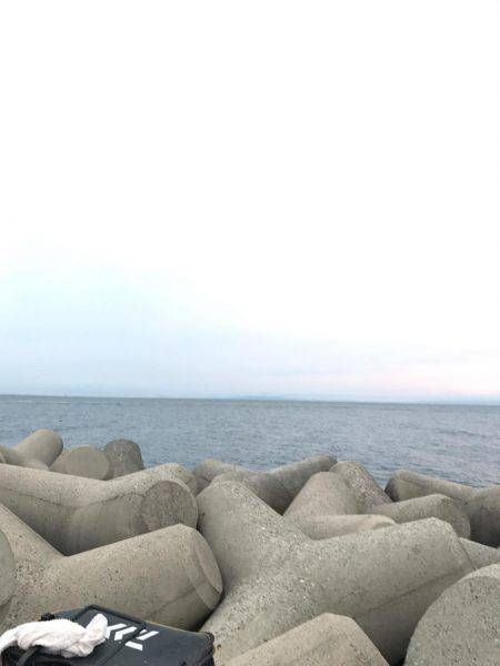 富山県魚津港 フカセ夜釣りグレ