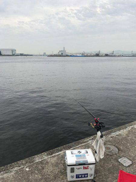 エビ撒き 御三家⁈