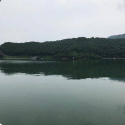 マイボートで昼間のイカメタルゲーム