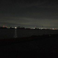 梅雨の淀川 キビレゲーム