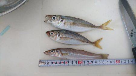 いてくれました。