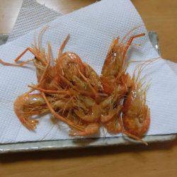 初めての手長エビ