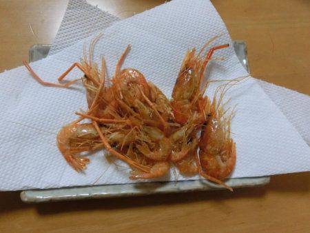 初めての手長エビ