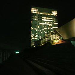 仕事が早く終わったので、ついつい。