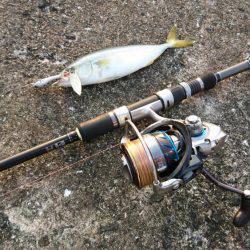 シーバス&ツバス