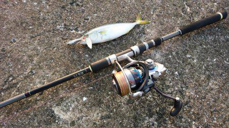 シーバス&ツバス