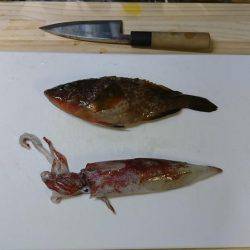 ショアスローで